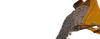 Brugte Maskiner No Bg